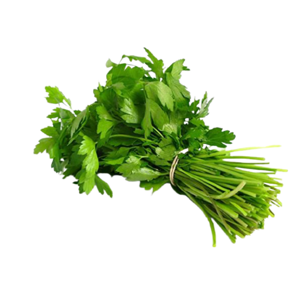 Coriander 1 Bunch