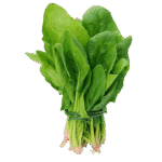 Spinach 1 Bunch
