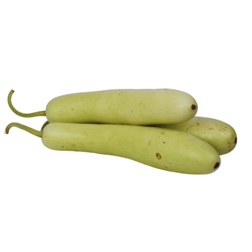 Bottle gourd