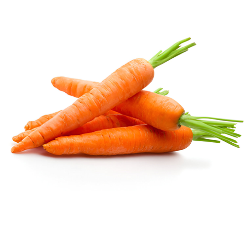carrot